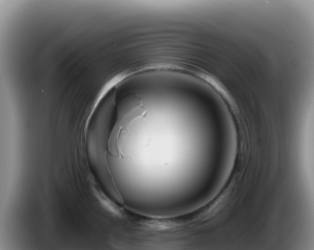 X0000086261242200704051255