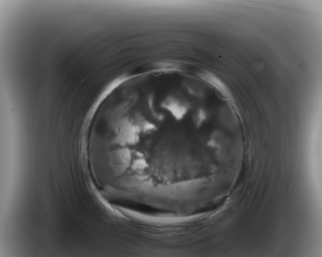 X0000086261243200704051255