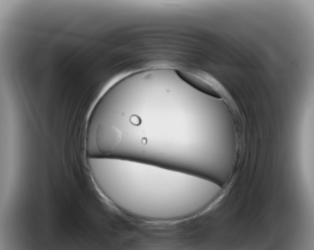 X0000086261244200704051255