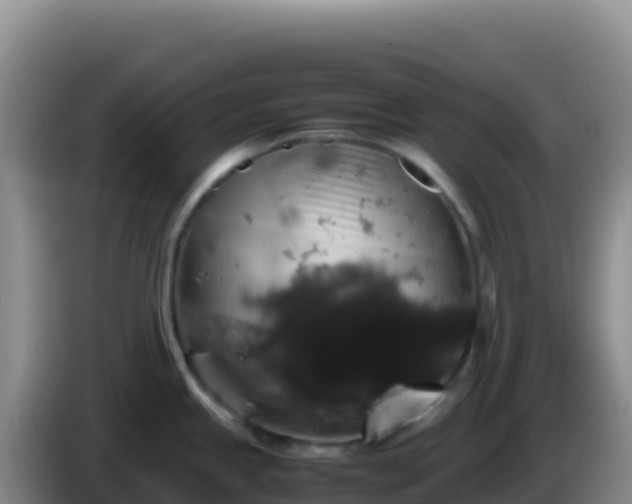 X0000086261245200704051255