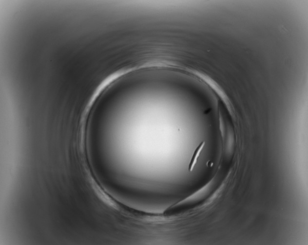 X0000086261246200704051255