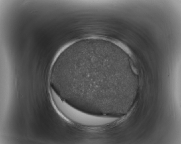 X0000086261247200704051255