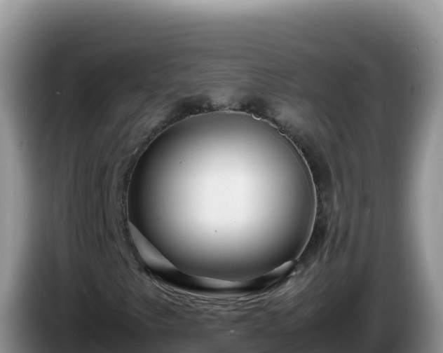 X0000086261249200704051255