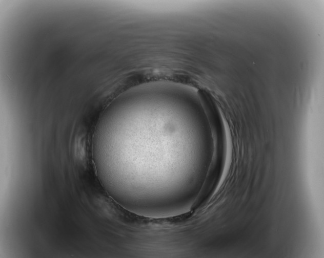 X0000086261250200704051255