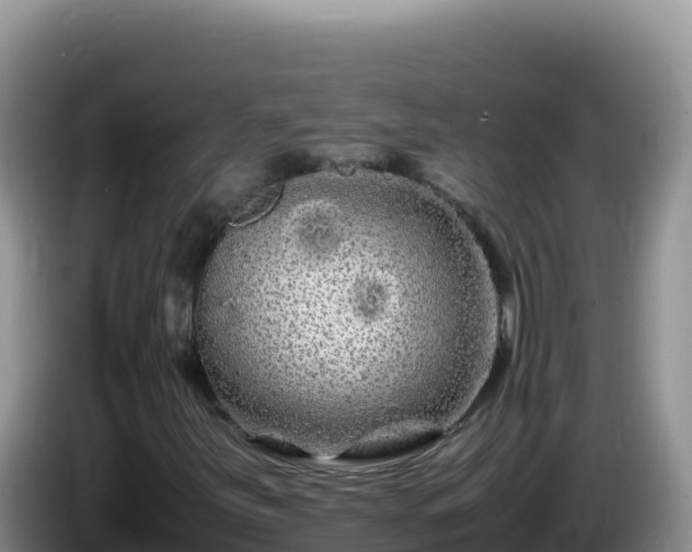 X0000086261251200704051255