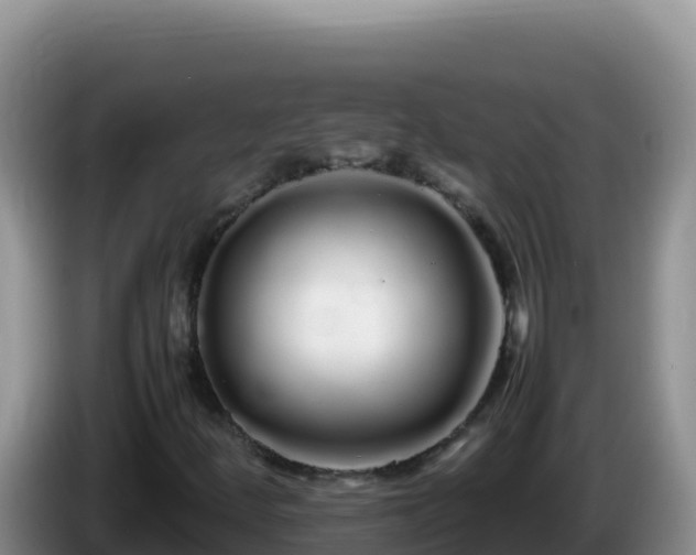X0000086261252200704051255