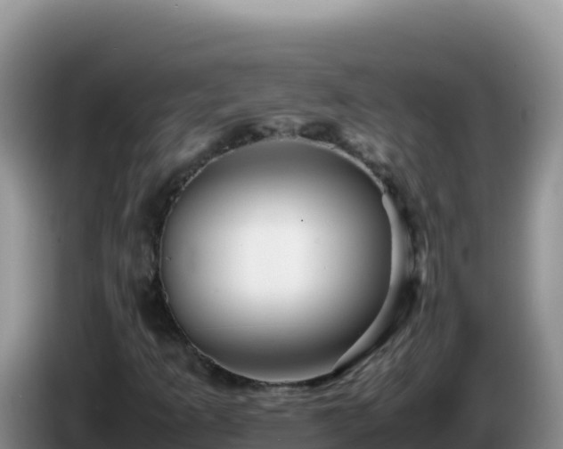 X0000086261253200704051255