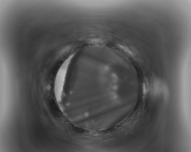 X0000086261254200704051255