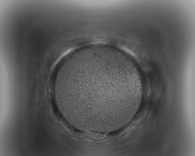 X0000086261255200704051255