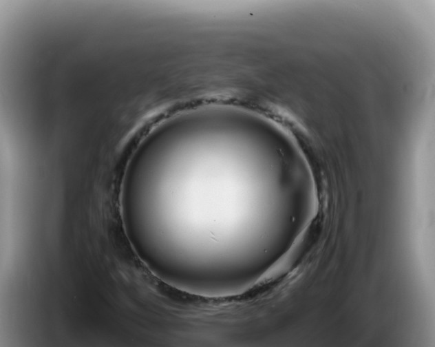 X0000086261256200704051255