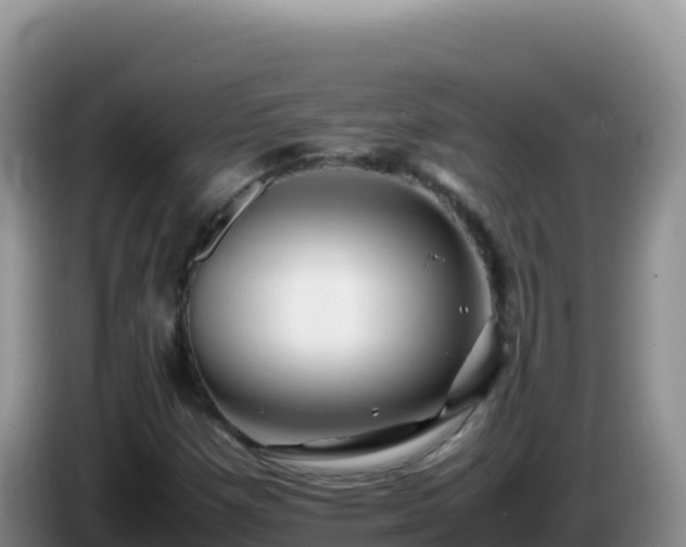 X0000086261257200704051255