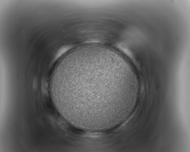 X0000086261258200704051255