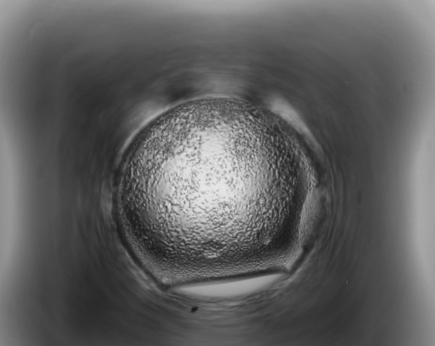X0000086261260200704051255