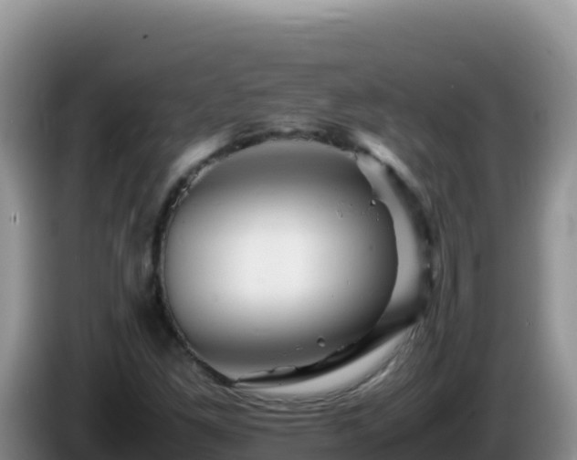 X0000086261261200704051255