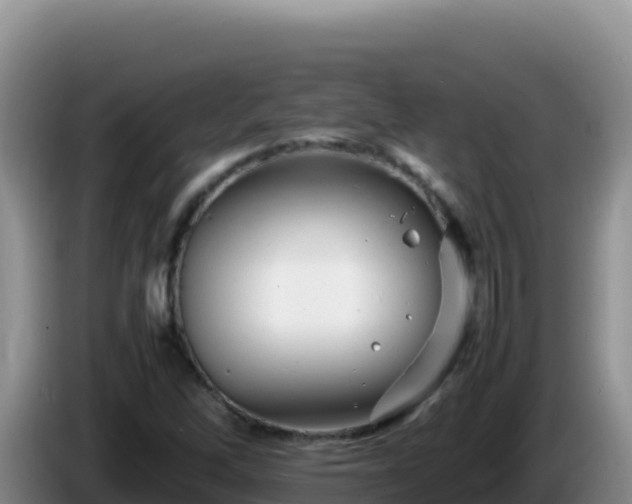 X0000086261262200704051255