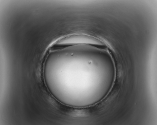 X0000086261264200704051255