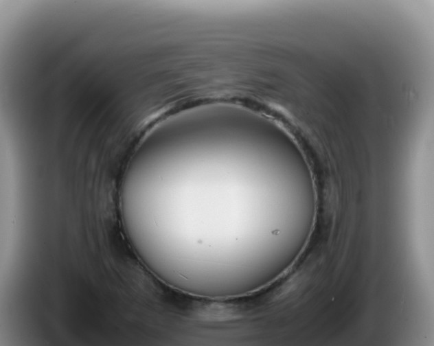 X0000086261265200704051255