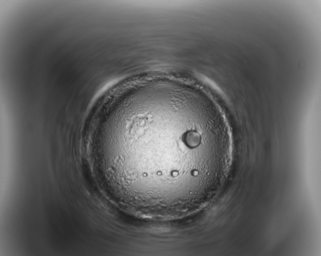 X0000086261267200704051255