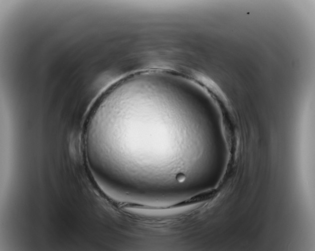 X0000086261268200704051255
