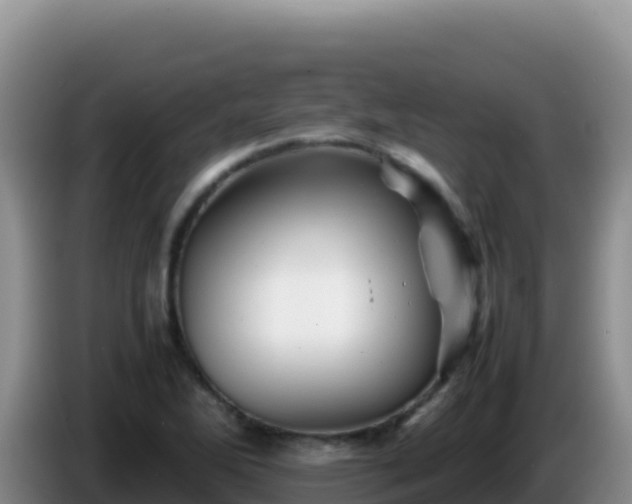 X0000086261270200704051255