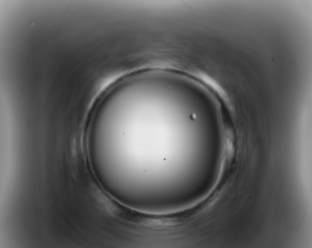 X0000086261272200704051255
