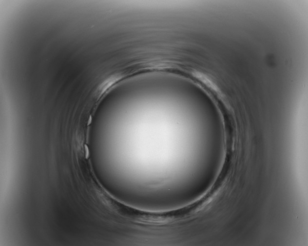 X0000086261273200704051254