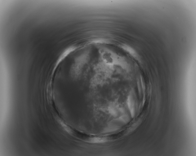 X0000086261274200704051254