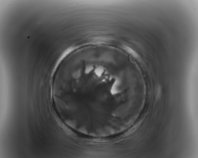 X0000086261275200704051254