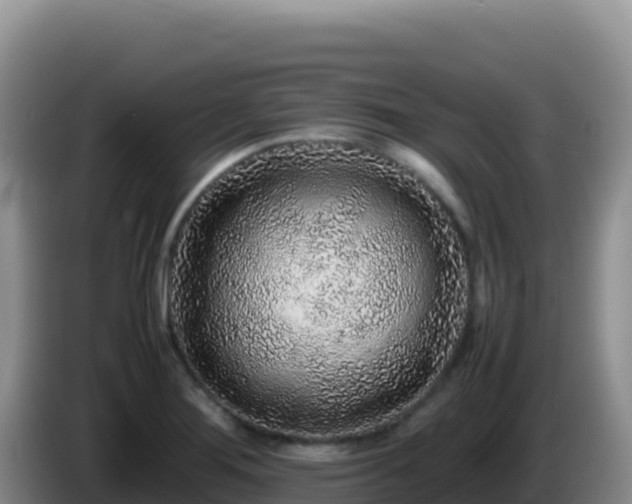 X0000086261276200704051254