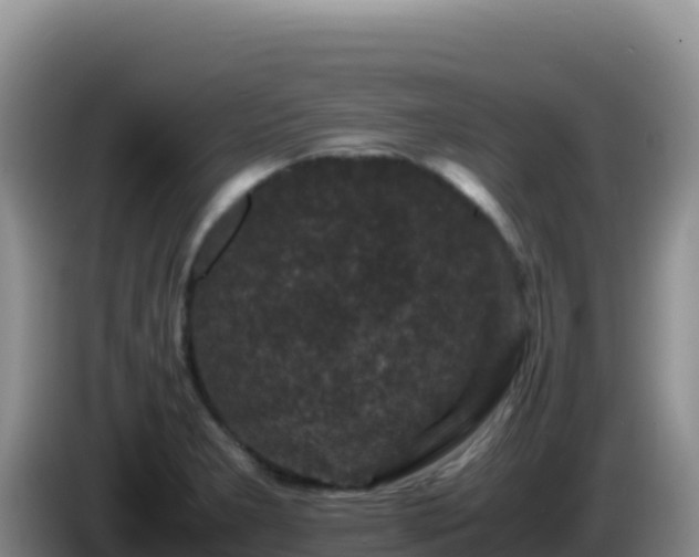 X0000086261277200704051254