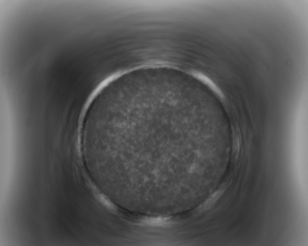 X0000086261278200704051254