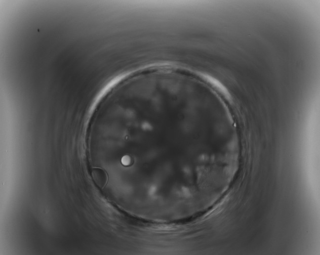 X0000086261279200704051254