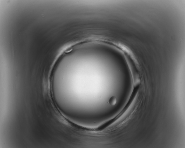 X0000086261280200704051254
