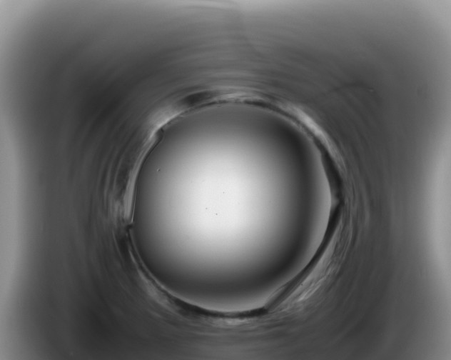 X0000086261281200704051254