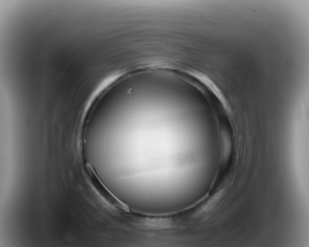 X0000086261285200704051254