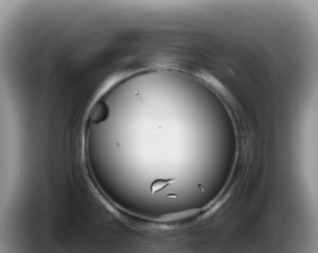 X0000086261286200704051254