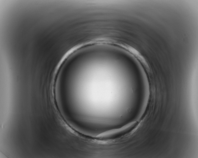 X0000086261288200704051254