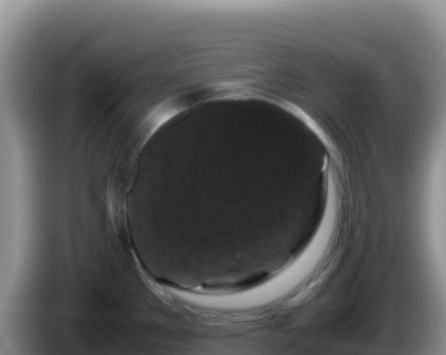 X0000086261289200704051254