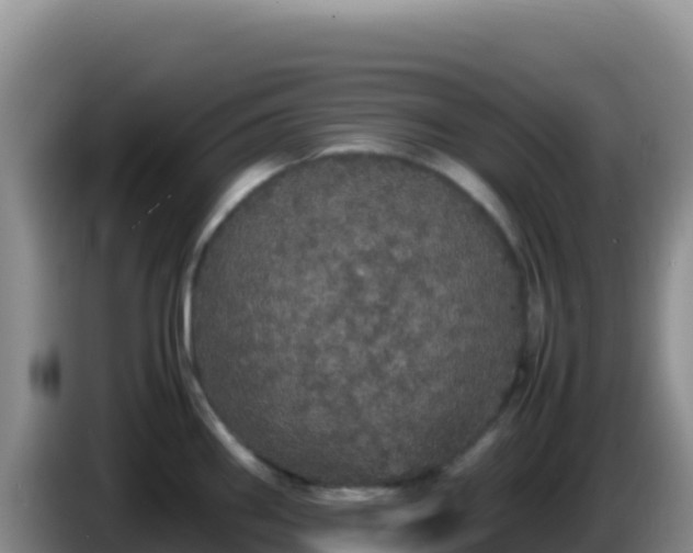 X0000086261290200704051254