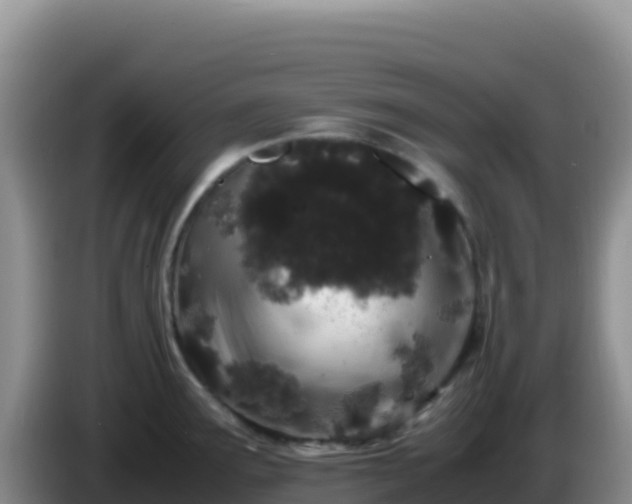 X0000086261291200704051254