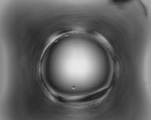 X0000086261292200704051254