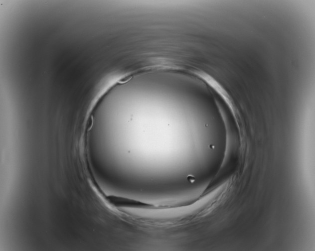 X0000086261293200704051254