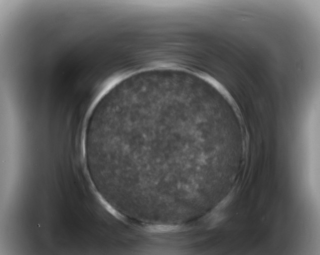 X0000086261294200704051254