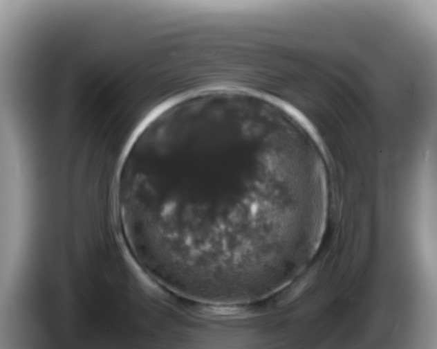 X0000086261295200704051254