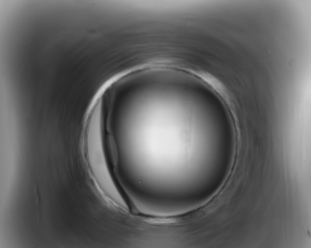 X0000086261296200704051254