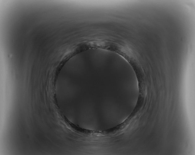 X0000086261297200704051254