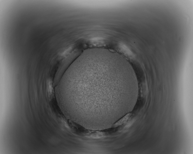 X0000086261298200704051254