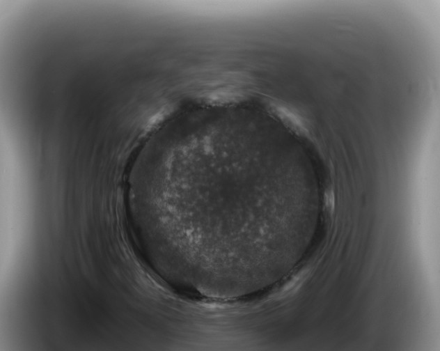 X0000086261300200704051254