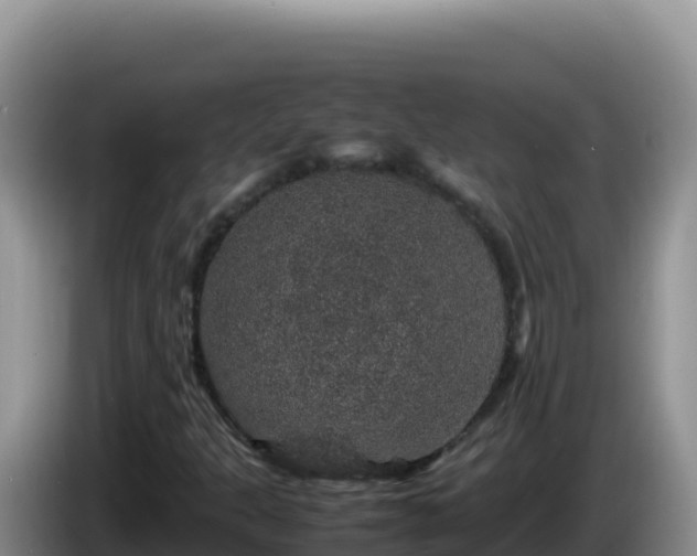 X0000086261301200704051254