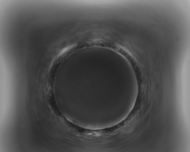 X0000086261303200704051254